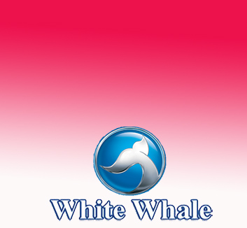 WhiteWhale